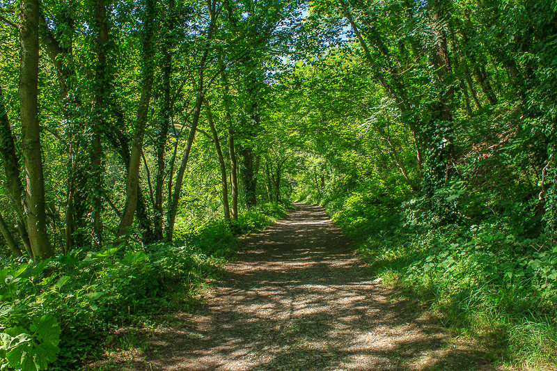 Miller's Dale